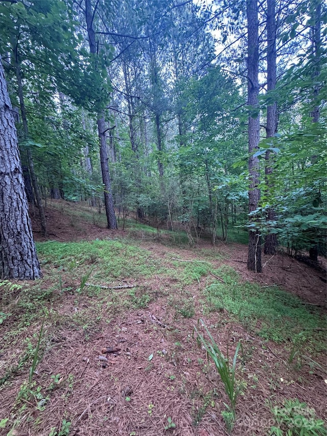 0 Clearwater Pkwy Unit 203, Rutherfordton, NC 28139