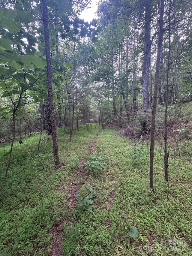 0 Clearwater Pkwy Unit 203, Rutherfordton, NC 28139