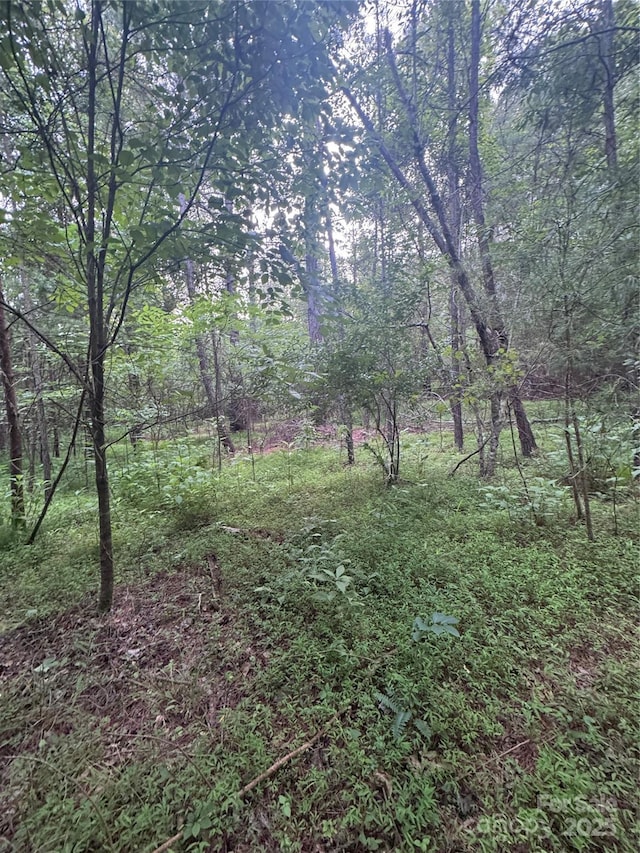 0 Clearwater Pkwy Unit 203, Rutherfordton, NC 28139