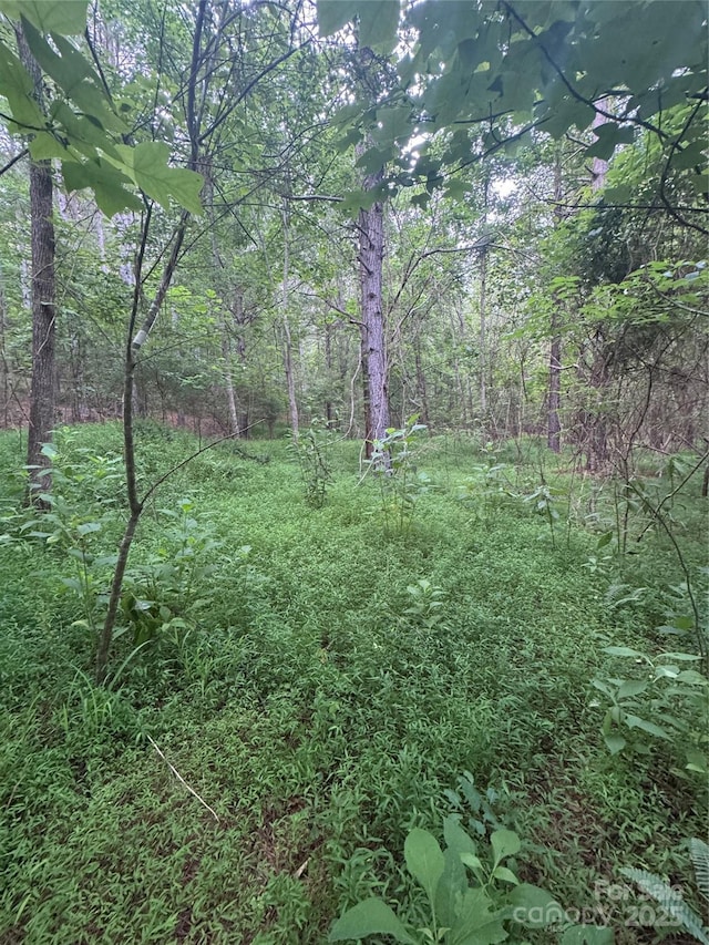 0 Clearwater Pkwy Unit 203, Rutherfordton, NC 28139