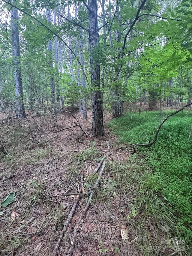 0 Clearwater Pkwy Unit 203, Rutherfordton, NC 28139