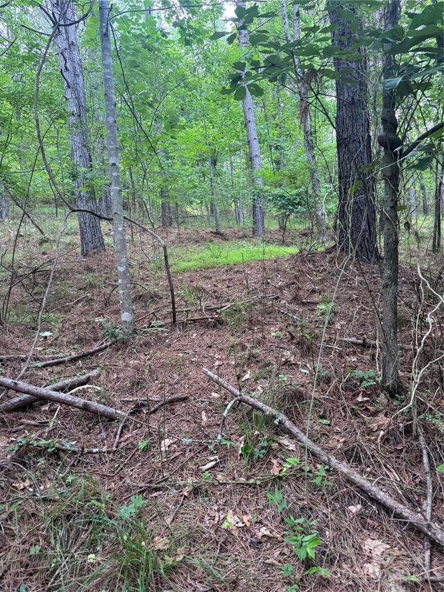 0 Clearwater Pkwy Unit 203, Rutherfordton, NC 28139