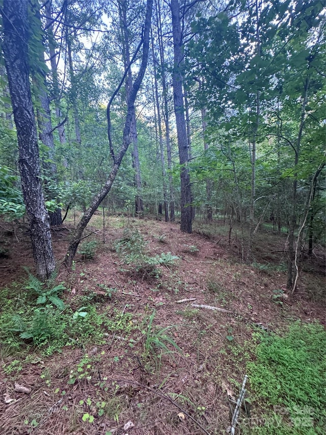 0 Clearwater Pkwy Unit 203, Rutherfordton, NC 28139