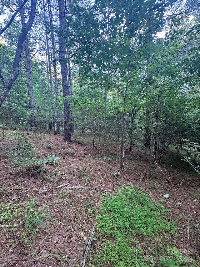 0 Clearwater Pkwy Unit 203, Rutherfordton, NC 28139