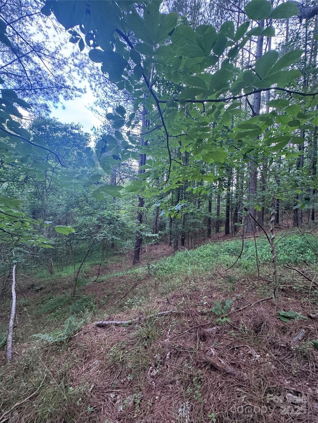 0 Clearwater Pkwy Unit 203, Rutherfordton, NC 28139