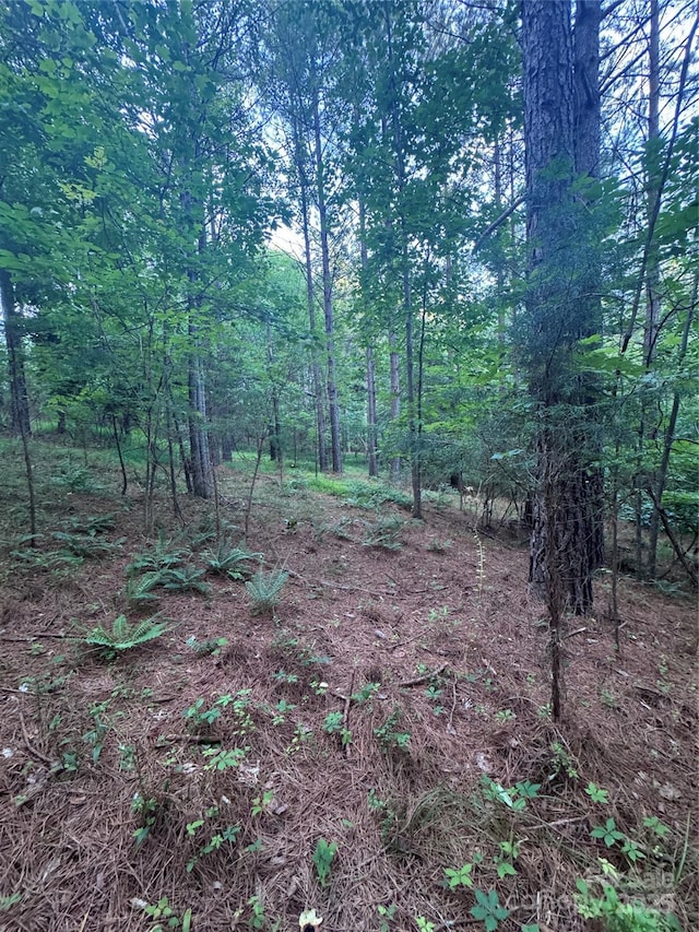 0 Clearwater Pkwy Unit 203, Rutherfordton, NC 28139