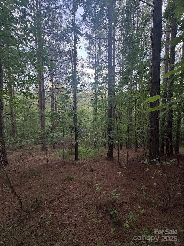 0 Clearwater Pkwy Unit 203, Rutherfordton, NC 28139