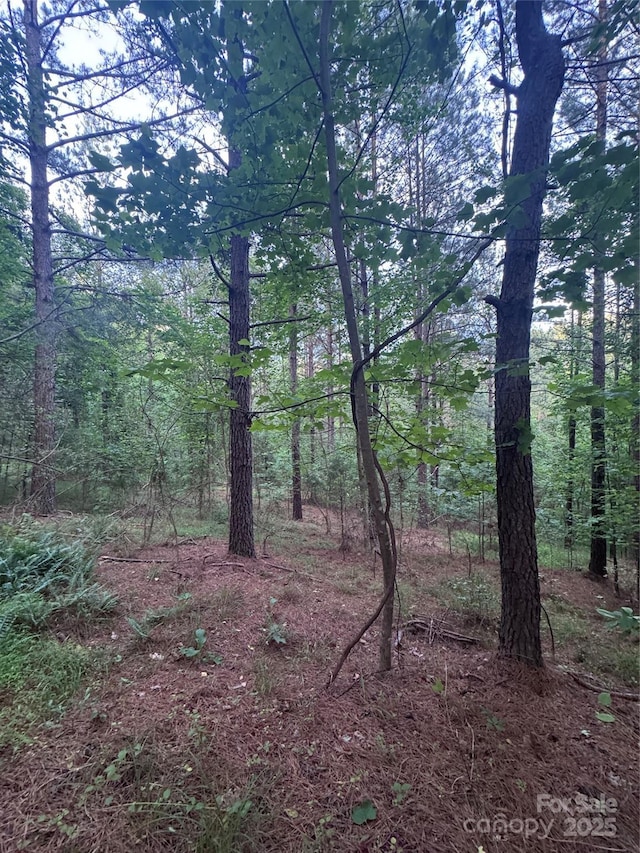 0 Clearwater Pkwy Unit 203, Rutherfordton, NC 28139