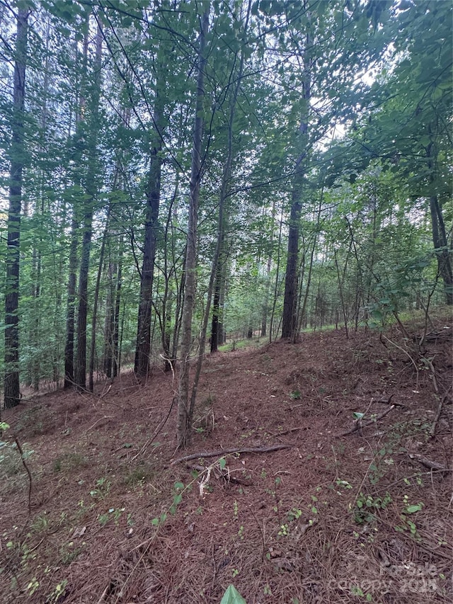 0 Clearwater Pkwy Unit 203, Rutherfordton, NC 28139