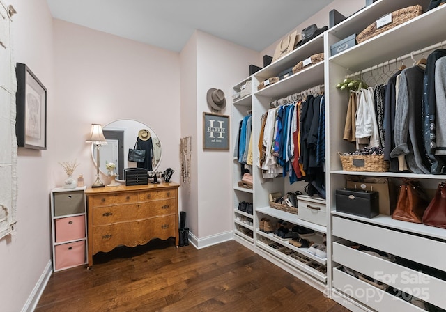 6506 Jepson Ct Unit 349, Charlotte, NC 28214 - spacious closet featuring dark wood-type flooring