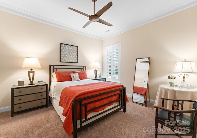 6506 Jepson Ct Unit 349, Charlotte, NC 28214 - carpeted bedroom with ornamental molding and baseboards