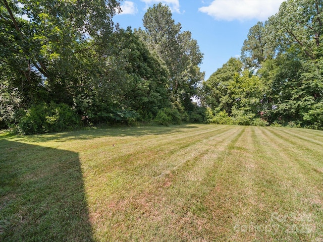 1169 Stuarts Landing Dr, Cramerton, NC 28032 - view of green lawn