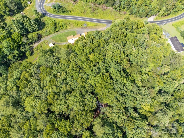 691 Sandy Bottom Rd, Marshall, NC 28753 - photo 19