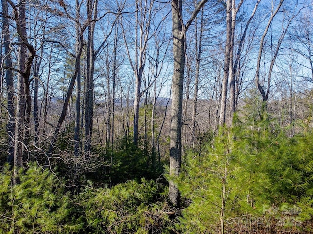 691 Sandy Bottom Rd, Marshall, NC 28753 - photo 20