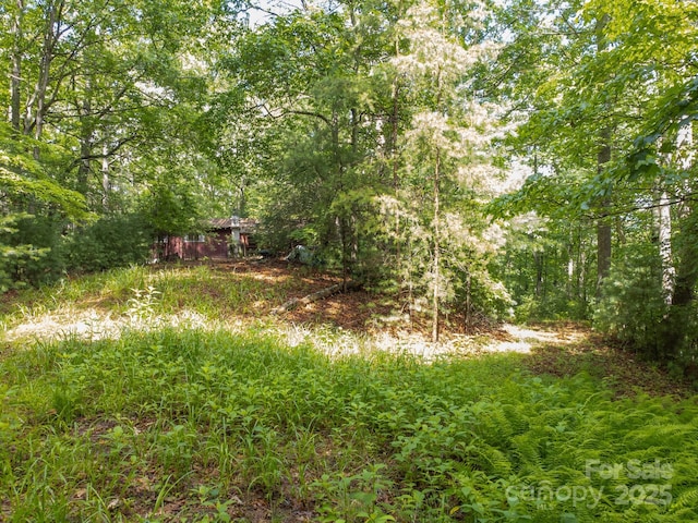 691 Sandy Bottom Rd, Marshall, NC 28753 - photo 22