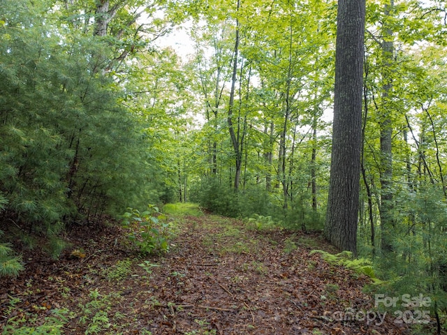 691 Sandy Bottom Rd, Marshall, NC 28753 - photo 23