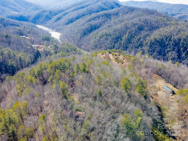 691 Sandy Bottom Rd, Marshall, NC 28753 - photo 25