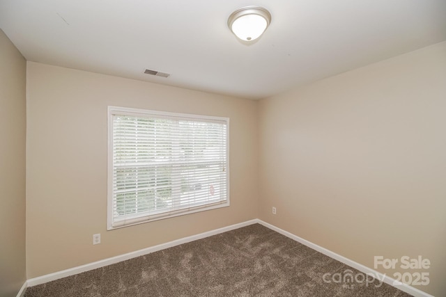 11305 Erwin Ridge Ave, Charlotte, NC 28213 - photo 15