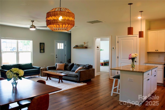 205 Spring Creek Dr, Mount Holly, NC 28120 - living room featuring dark wood-style flooring and a ceiling fan