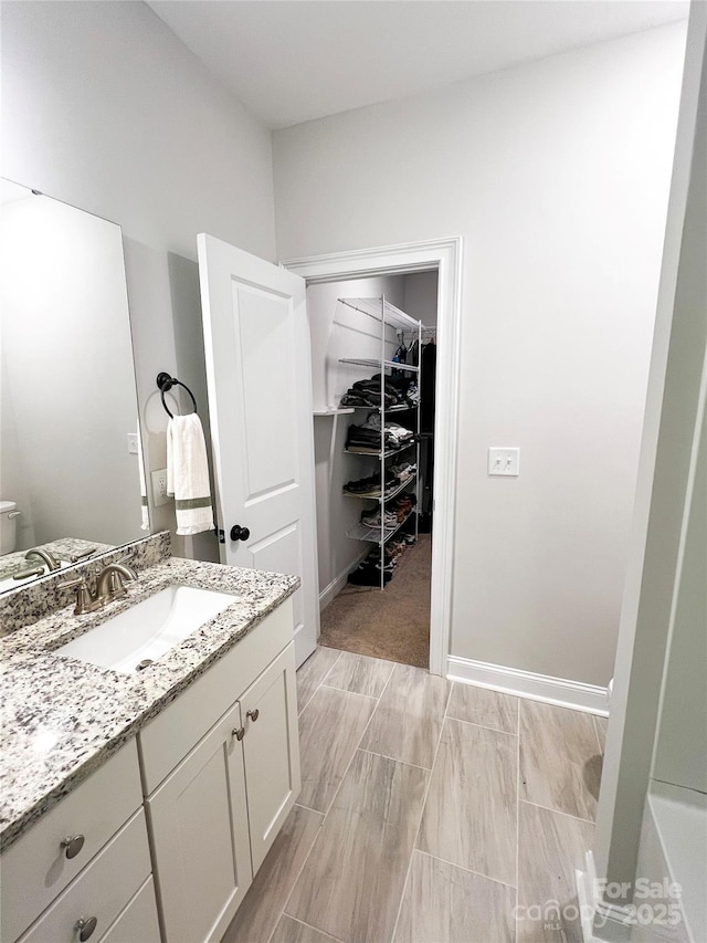 205 Spring Creek Dr, Mount Holly, NC 28120 - bathroom with vanity and a spacious closet
