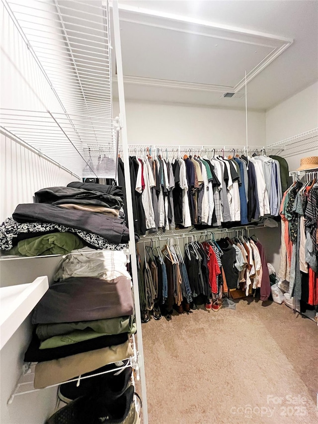 205 Spring Creek Dr, Mount Holly, NC 28120 - spacious closet with attic access and carpet flooring