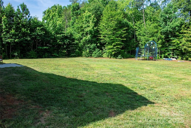 205 Spring Creek Dr, Mount Holly, NC 28120 - view of green lawn featuring a trampoline
