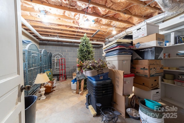 7029 Forest Hills Dr, Denver, NC 28037 - unfinished below grade area with concrete block wall