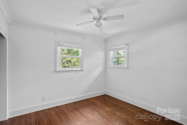 5611 Robinhood Rd, Charlotte, NC 28211 - photo 23