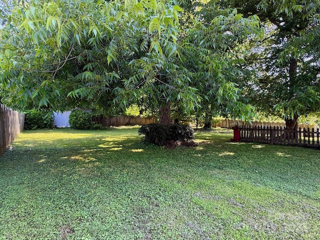192 W Court St, Rutherfordton, NC 28139 - view of fenced backyard