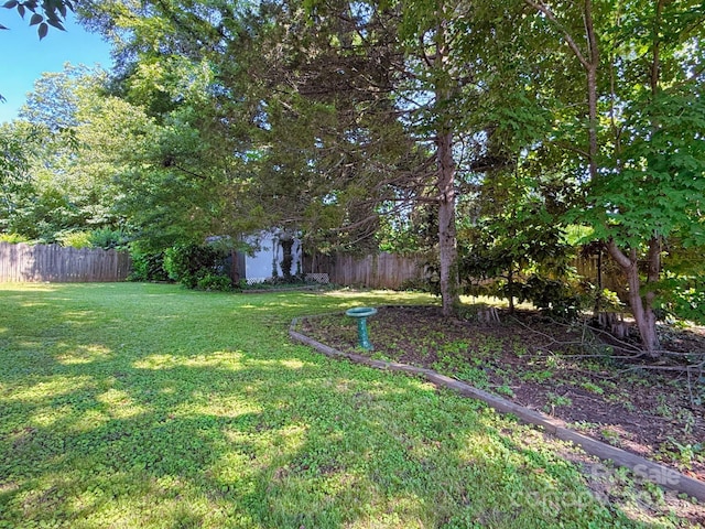 192 W Court St, Rutherfordton, NC 28139 - view of fenced backyard