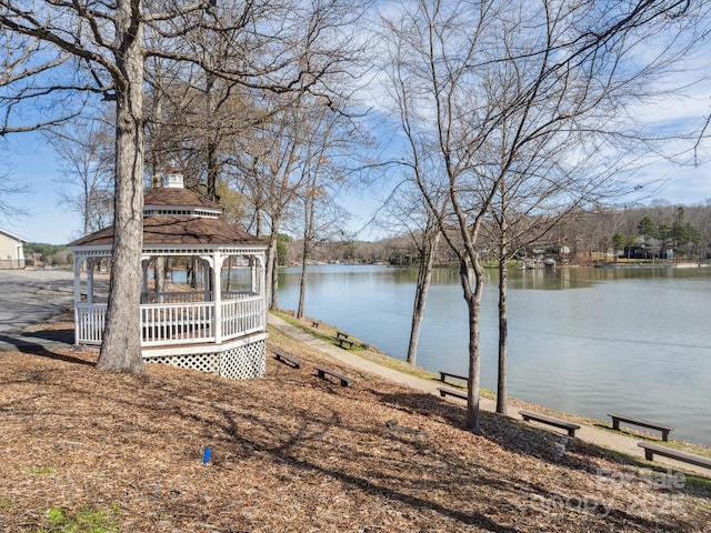 12004 Woodholm Ct, Tega Cay, SC 29708 - photo 1