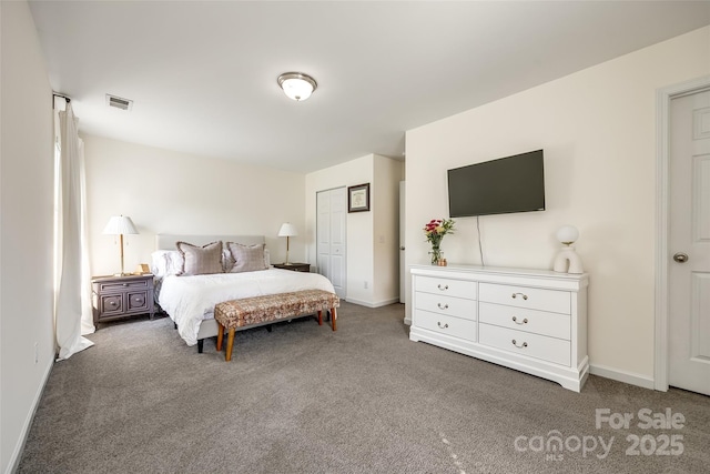 325 Hancock Union Ln, Rock Hill, SC 29732 - bedroom with carpet and a closet
