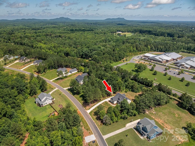 1062 Sage Pine Cir, Clover, SC 29710 - photo 44