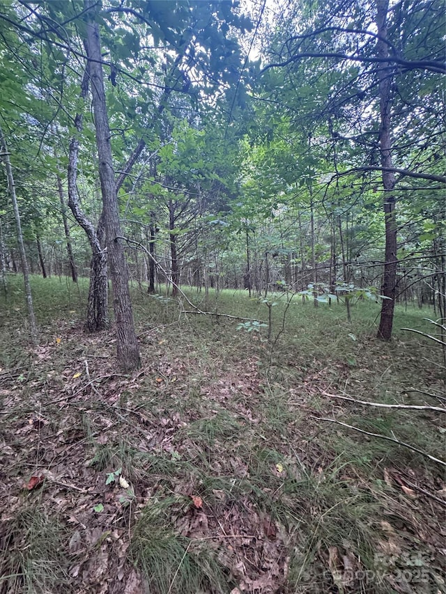 0 Cross Creek Dr Unit 67, Rutherfordton, NC 00000