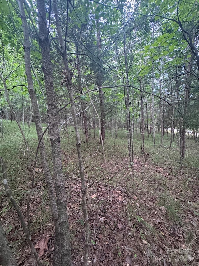 0 Cross Creek Dr Unit 67, Rutherfordton, NC 00000