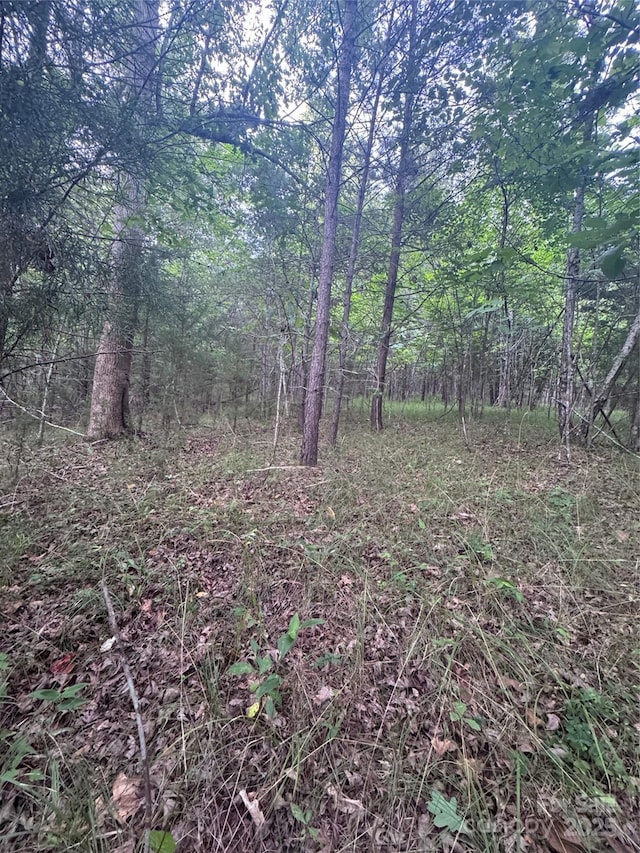 0 Cross Creek Dr Unit 67, Rutherfordton, NC 00000
