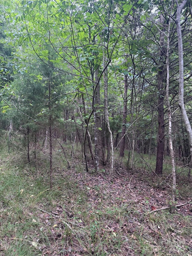 0 Cross Creek Dr Unit 67, Rutherfordton, NC 00000