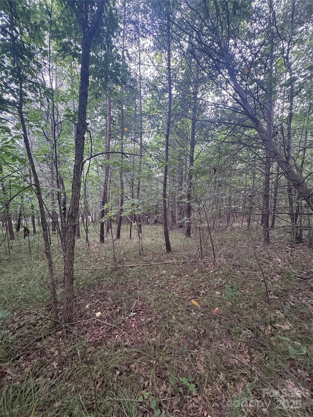 0 Cross Creek Dr Unit 67, Rutherfordton, NC 00000