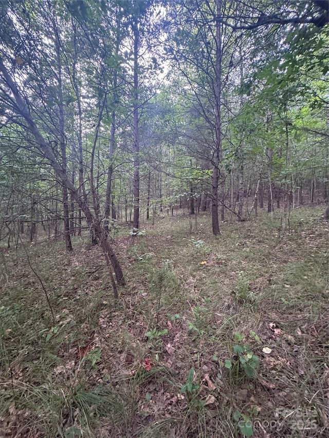 0 Cross Creek Dr Unit 67, Rutherfordton, NC 00000