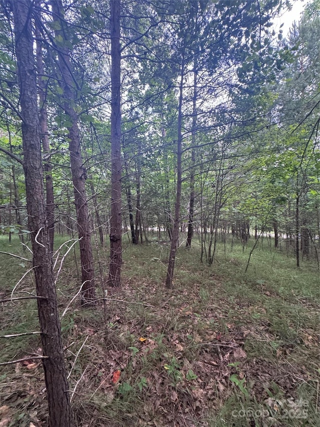 0 Cross Creek Dr Unit 67, Rutherfordton, NC 00000