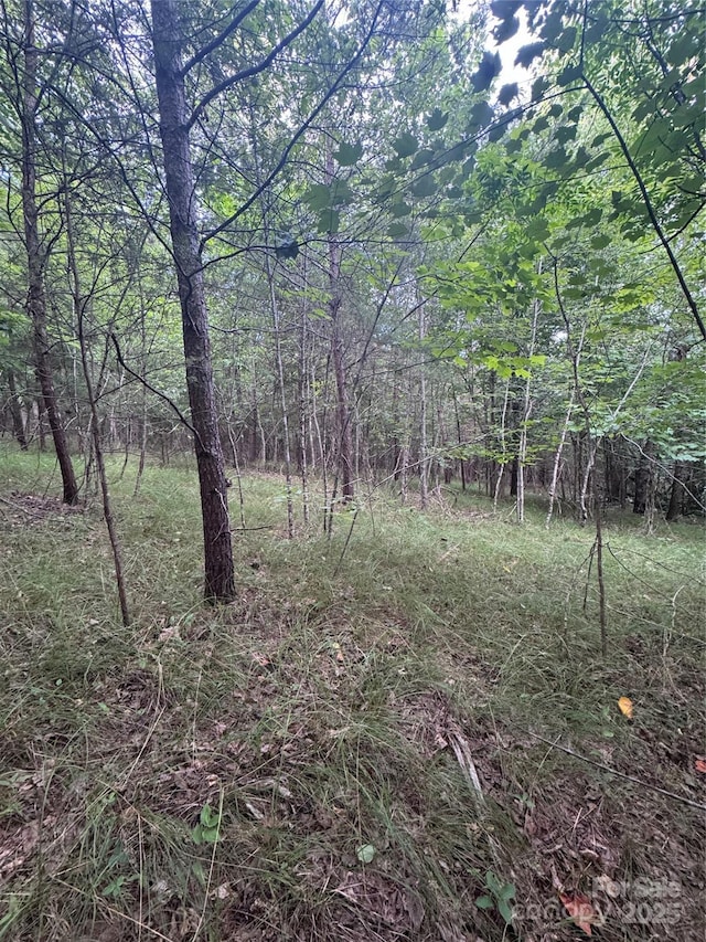 0 Cross Creek Dr Unit 67, Rutherfordton, NC 00000
