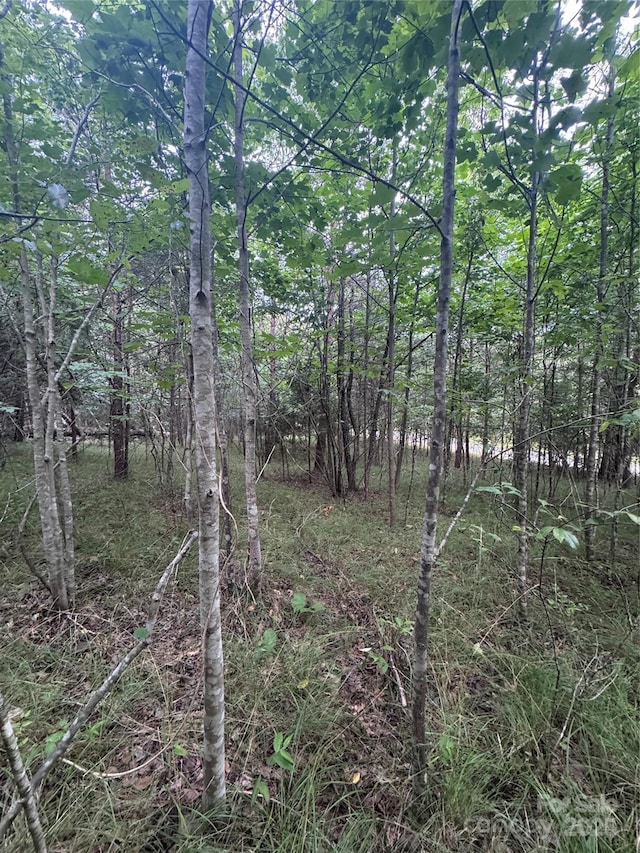 0 Cross Creek Dr Unit 67, Rutherfordton, NC 00000