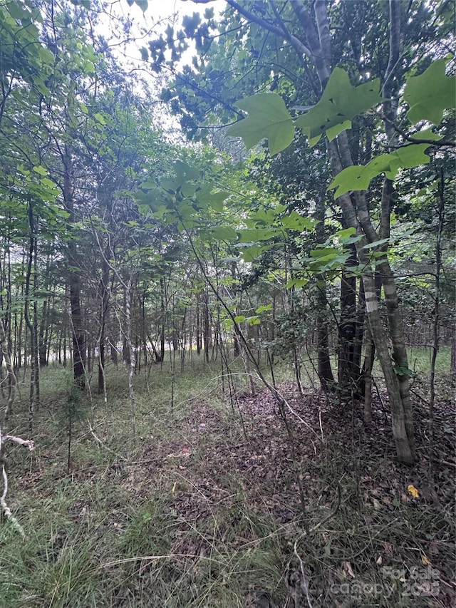 0 Cross Creek Dr Unit 67, Rutherfordton, NC 00000