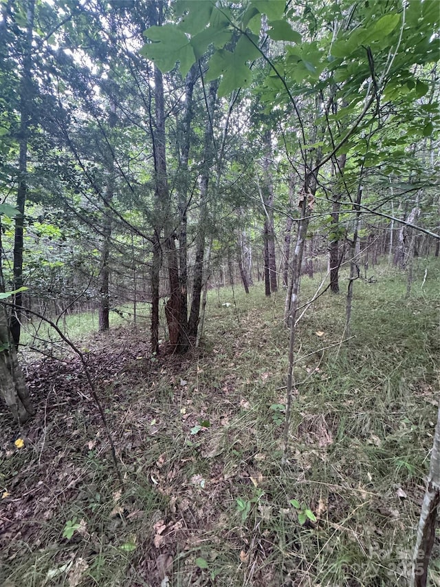 0 Cross Creek Dr Unit 67, Rutherfordton, NC 00000