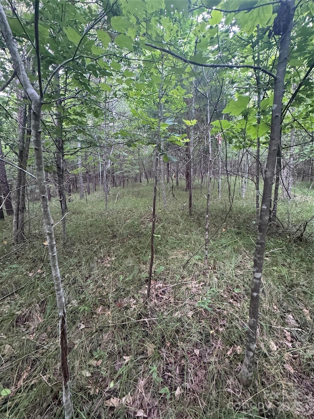0 Cross Creek Dr Unit 67, Rutherfordton, NC 00000