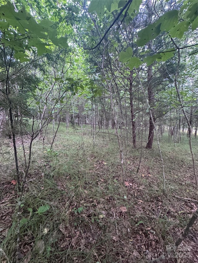 0 Cross Creek Dr Unit 67, Rutherfordton, NC 00000