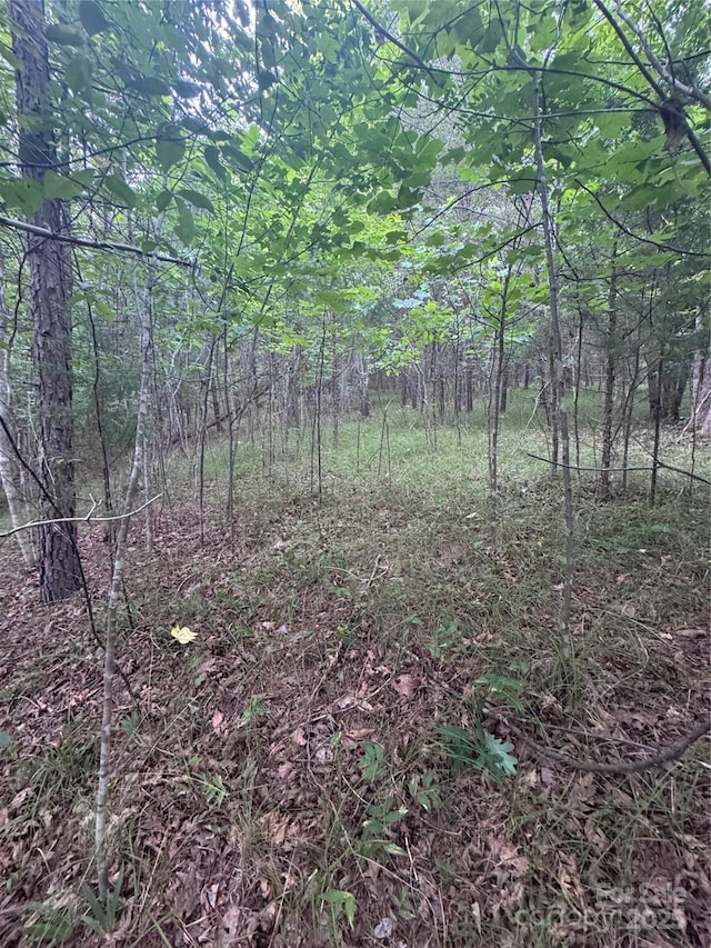 0 Cross Creek Dr Unit 67, Rutherfordton, NC 00000