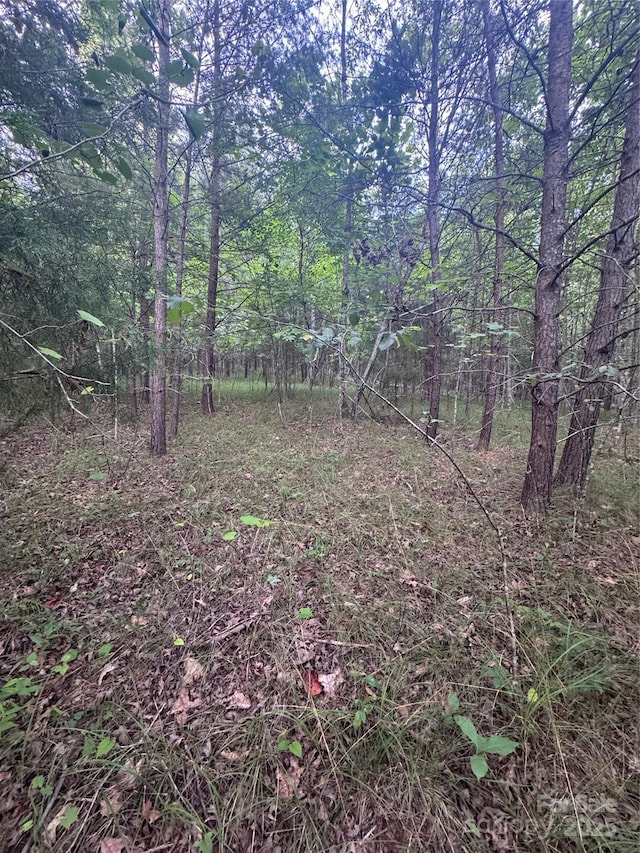 0 Cross Creek Dr Unit 67, Rutherfordton, NC 00000