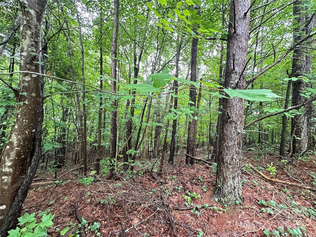 8900 Hollybrook Ln, Mint Hill, NC 28227 - photo 2