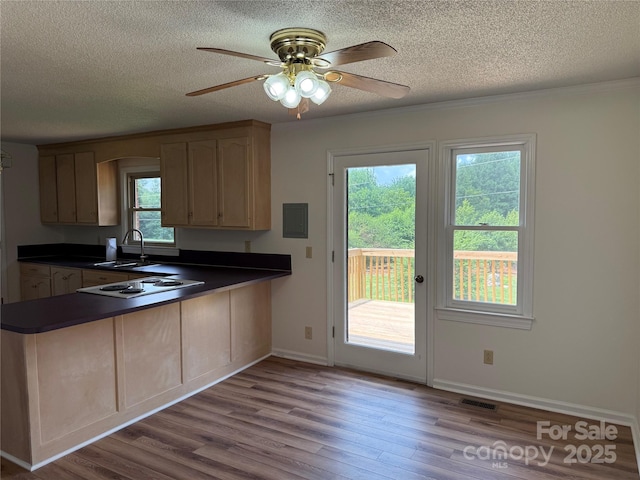 303 Mariposa Rd, Stanley, NC 28164 - photo 18